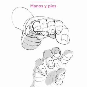 Anatomía artística 6